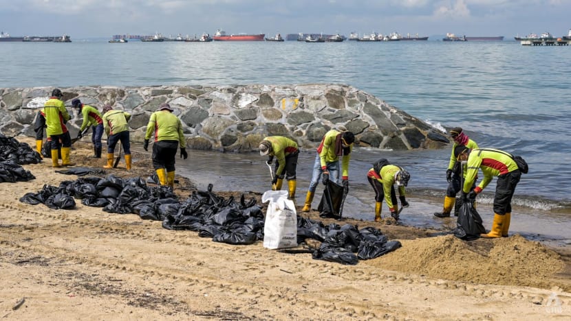 Oil spill: Several beaches, including East Coast Park and Sentosa's Siloso, mostly cleared of oil Oil spill: Several beaches, including East Coast Park and Sentosa's Siloso, mostly cleared of oil
