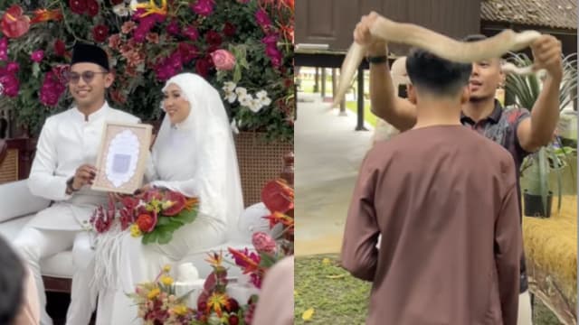 别具一格婚礼！马国兽医婚礼除宾客也有各种动物