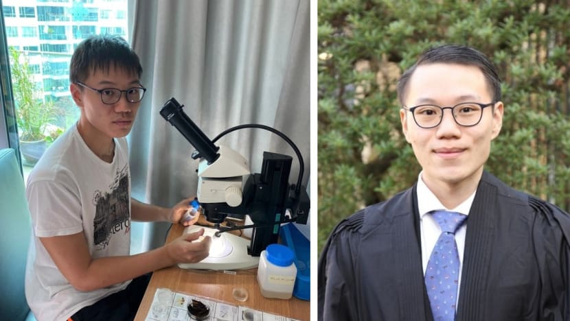 Gen Y Speaks: I chose not to study medicine because of my love for insects
