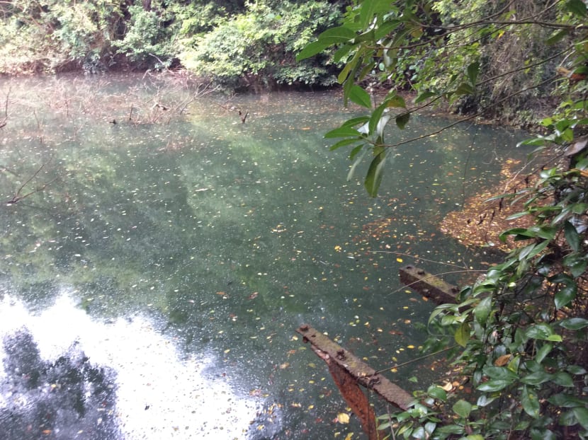 Abandoned reservoir near Telok Blangah Road found