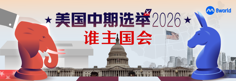美国中期选举