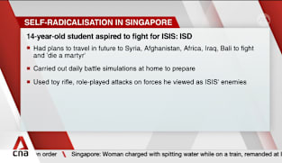 14-year-old Singaporean boy who simulated ISIS attacks on Roblox issued ISA restriction order