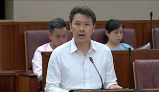 Shawn Huang on employment of migrant domestic workers 