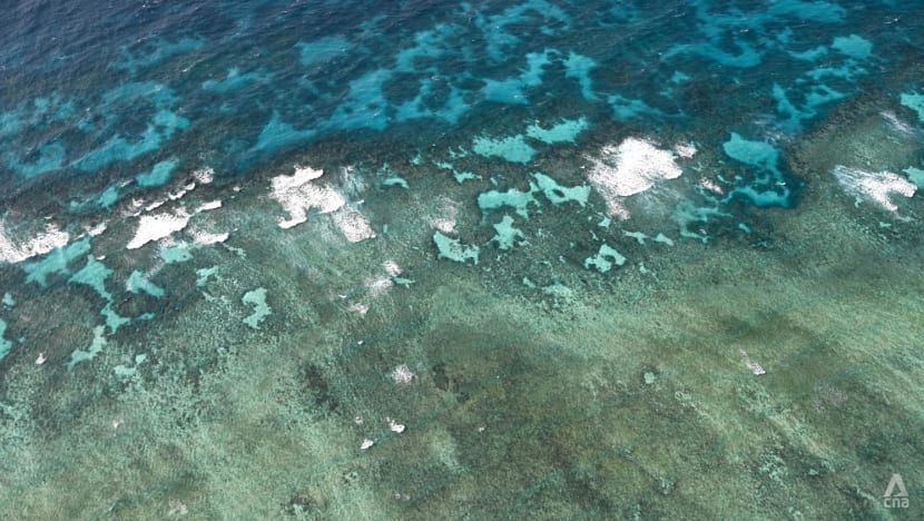 Australia’s Great Barrier Reef is straining from climate change but ‘controversial’ research could help save it Australia’s Great Barrier Reef is straining from climate change but ‘controversial’ research could help save it