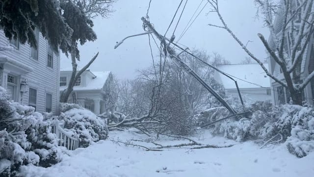 暴风雪袭击美国东北地区 数百万人出行受阻