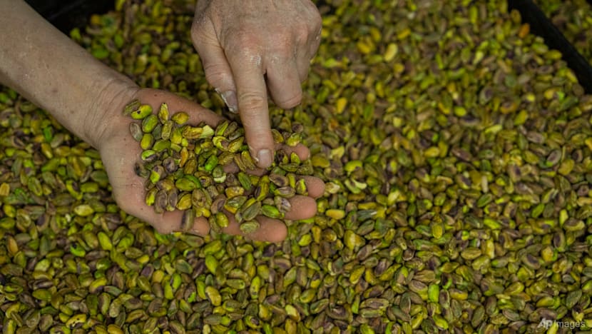 Commentary: Methanol, pistachios and cement - other Iranian exports choked by the war