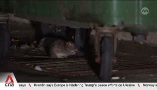 Pasir Ris West launches campaign focusing on preventive measures against rats