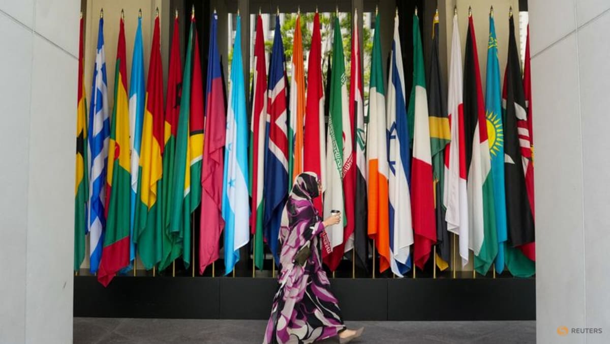 Battle-scarred developing nations look for path out of permacrisis