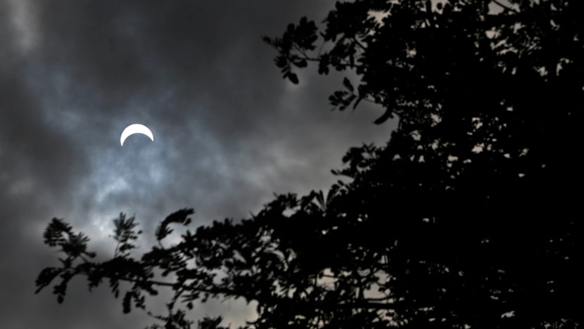 S’poreans flock outdoors for early morning solar date