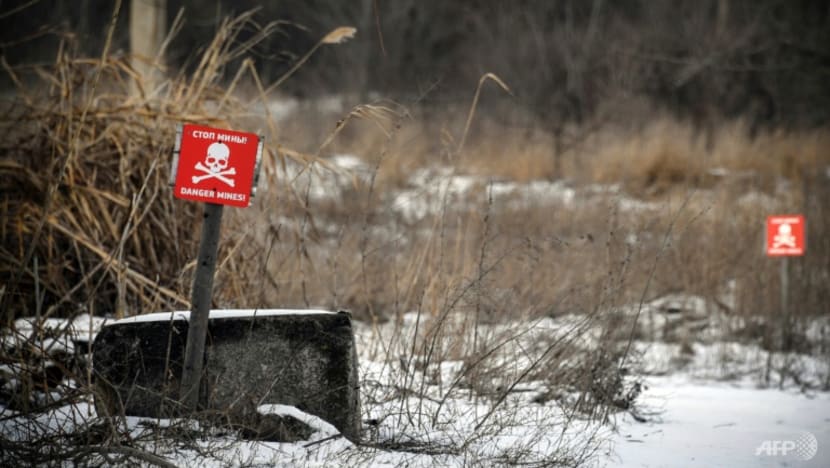 Singaporeans strongly advised against travelling to Ukraine amid escalating tensions: MFA