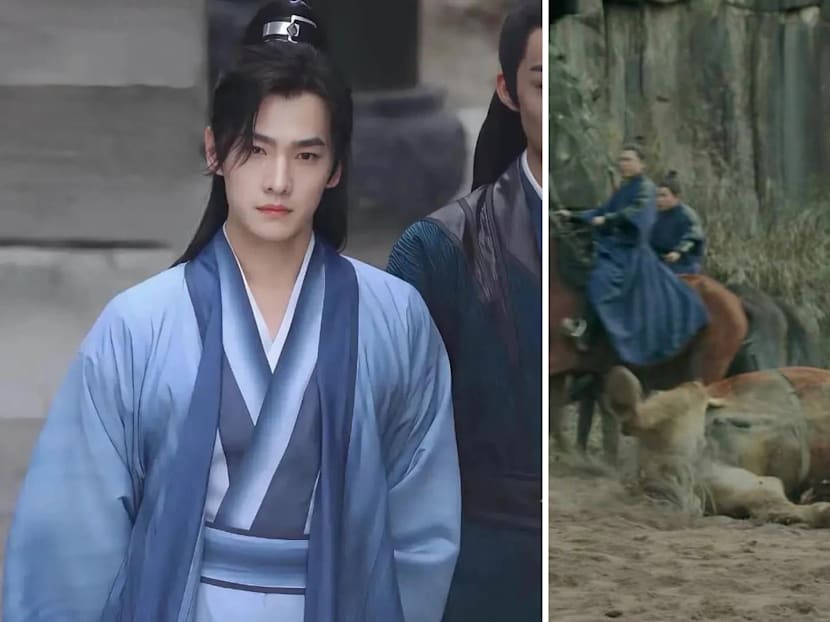 Netizens Want Chinese Actor Yang Yang&rsquo;s New Drama Cancelled After Accusations That A Horse Was Abused On Set