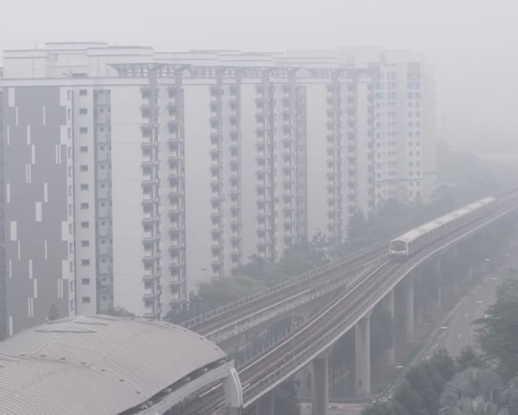 Zero chance of haze like last year in region, says Indonesian official