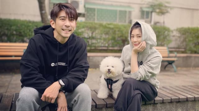 陪伴15年爱犬离世，贾静雯全家难过到哭干眼泪