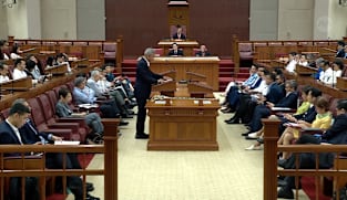 Vivian Balakrishnan and Muhammad Faishal Ibrahim respond to clarifications sought on ministerial statements on the situation in the Middle East