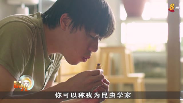 晨光|玩物壮志：昆虫并不可怕！ 达人推昆虫教育