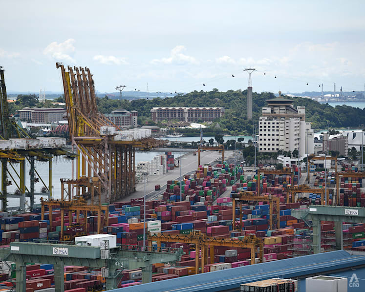 Container shipping industry starts to come down from pandemic highs