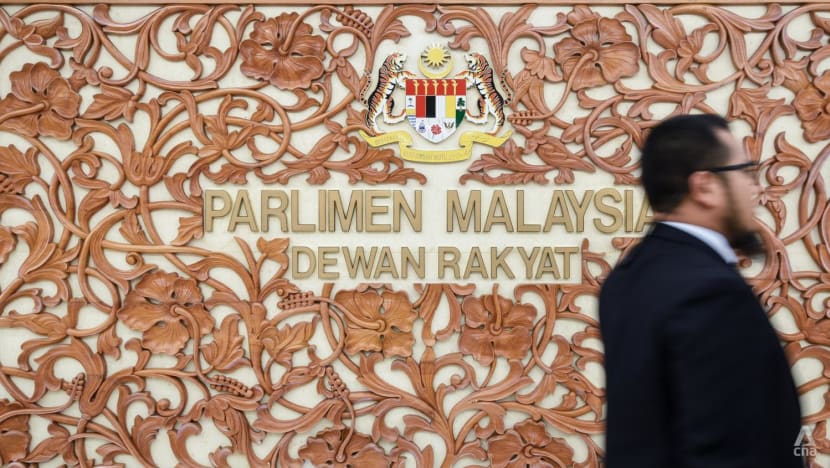 Malaysia MPs support proposed Malay language test for citizenship applicants but call for standardised requirement
