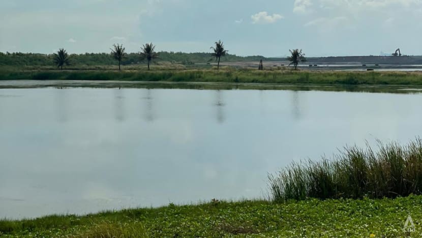 Environmental experts sound the alarm on how fast Singapore’s only landfill Semakau is filling up Environmental experts sound the alarm on how fast Singapore’s only landfill Semakau is filling up
