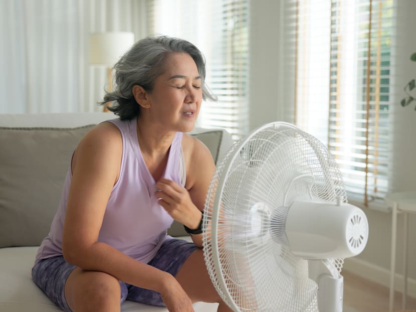 How menopause treatments evolved from horse urine to a new non-hormonal drug that targets hot flashes