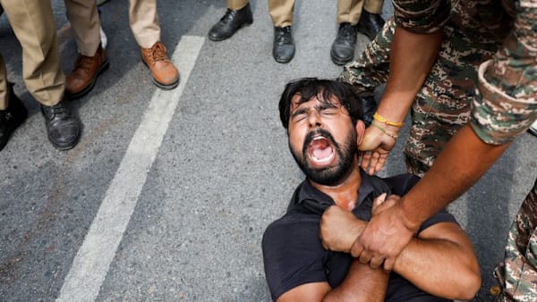 Commentary : India  cockroach  youth are proving hard to crush