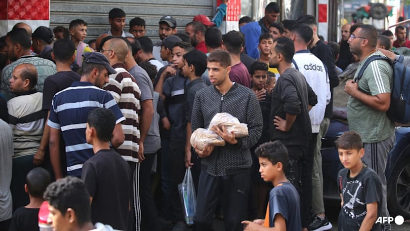 Food parcels delivered to 1 million Gazans since ceasefire: UN