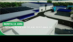 BERITA (4 Jun) | Ladang ikan air sejuk pertama SG