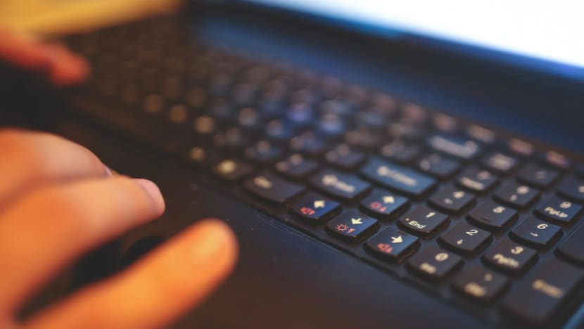 Online gaming platforms easy ground for extremists to target youth, parents should be more vigilant: Experts