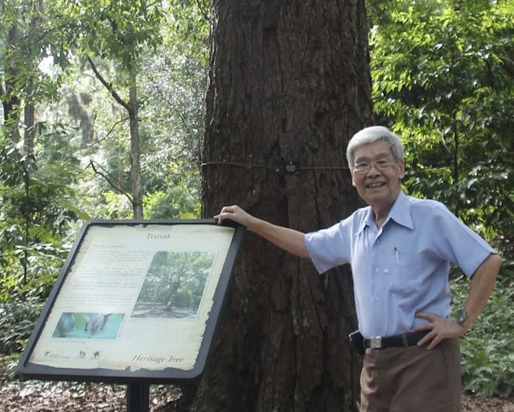 Leaders pay tribute to Singapore's first parks commissioner Wong Yew Kwan