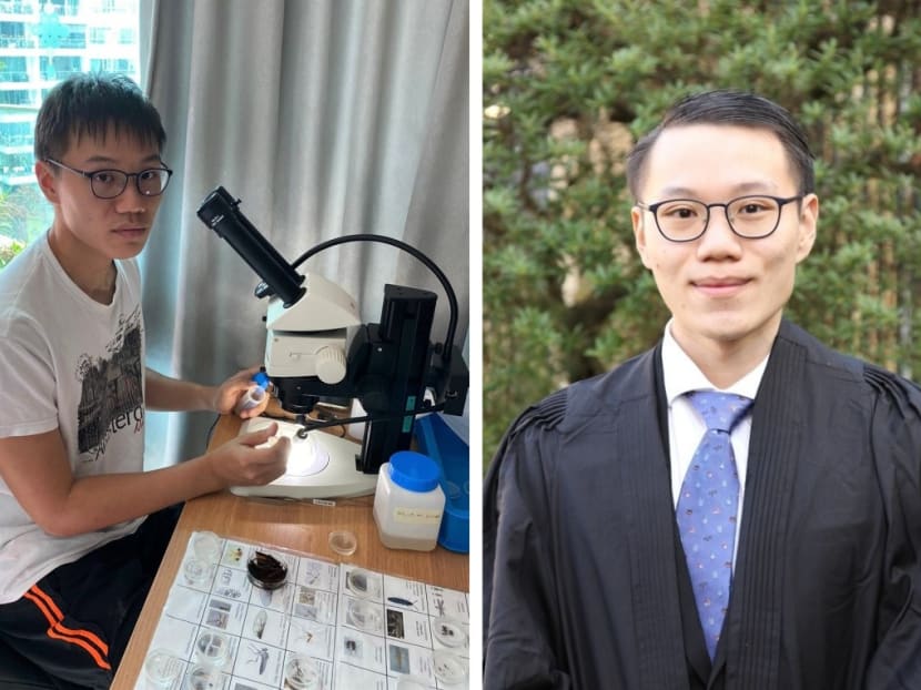The author working at his makeshift home lab sorting insects during the circuit breaker period and at his matriculation at University of Cambridge. The author working at his makeshift home lab sorting insects during the circuit breaker period and at his matriculation at University of Cambridge.
