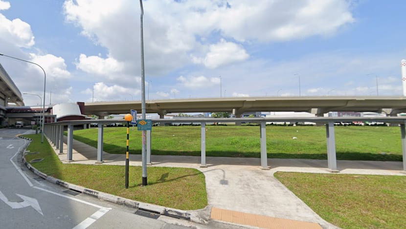 Man pleads guilty to raping 32-year-old woman at field near Tuas West Road MRT station