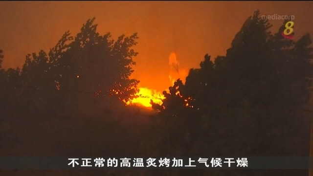 极端天气在全球掀起热浪 人类生活受重大冲击