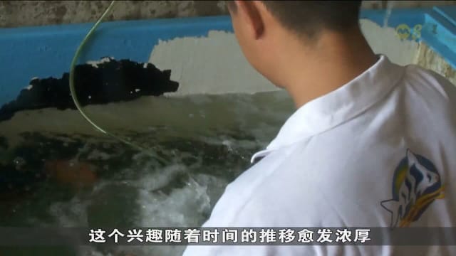 年轻一代逆流投身农业 耕耘属于自己的理想