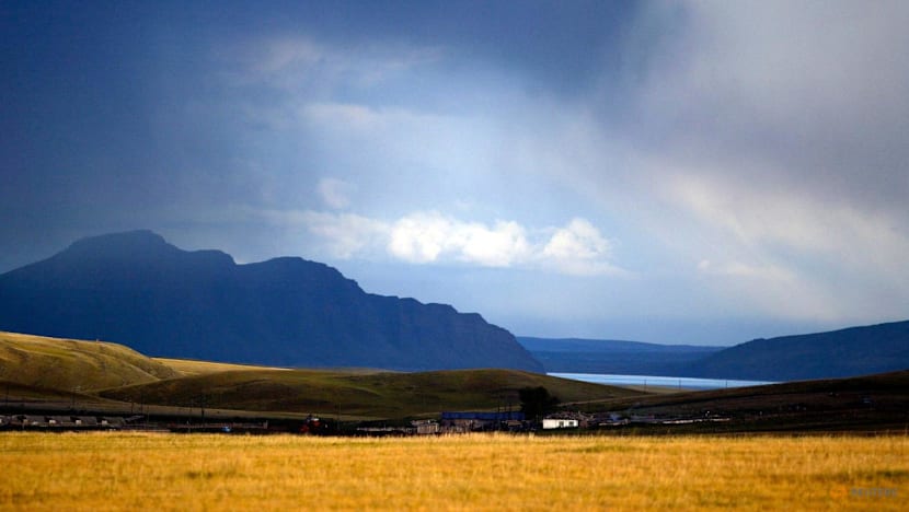 Cattle disease spreads in Russia amid scepticism over diagnosis  