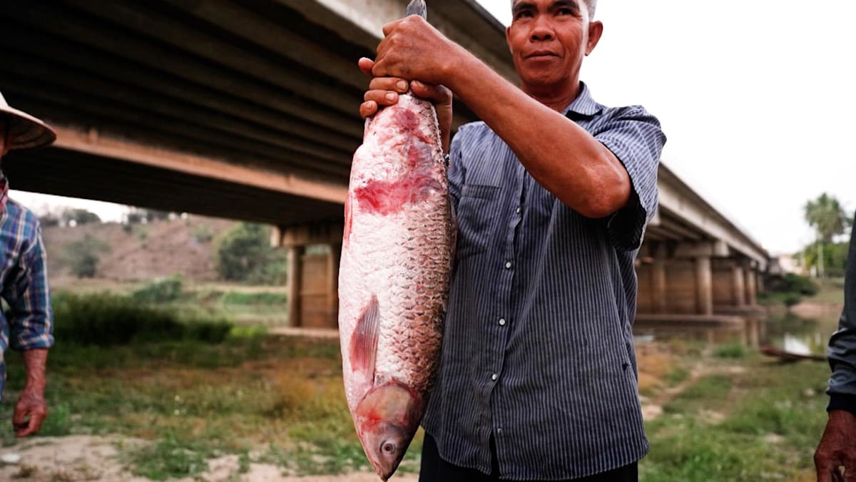 How rare earth mining in Myanmar threatens Thailan