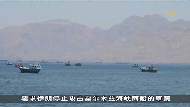 阿拉伯联合酋长国强调 阿布扎比有权通过外交和军事应对任何威胁