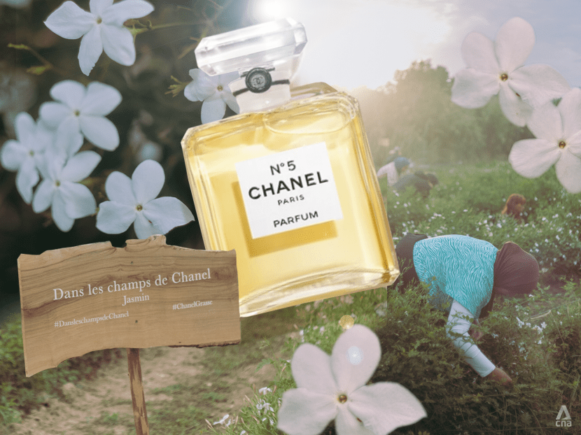 Did you know 1,000 jasmine flowers are used to produce a 15ml bottle of Chanel N°5 perfume? Did you know 1,000 jasmine flowers are used to produce a 15ml bottle of Chanel N°5 perfume?