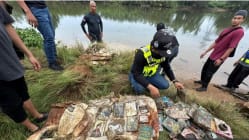 Related article image