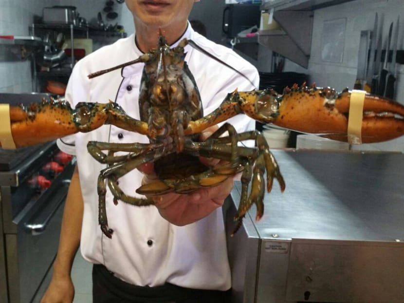 Get live lobsters at Brittany-inspired surf and turf eatery