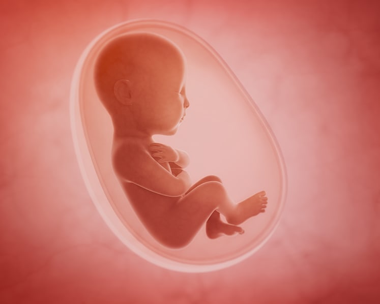 Commentary: Should humans have babies in space?