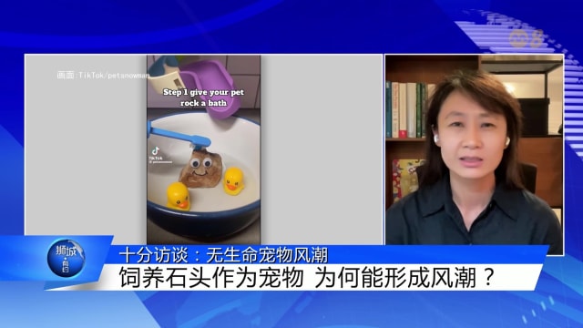 狮城有约 | 十分访谈：无生命宠物风潮