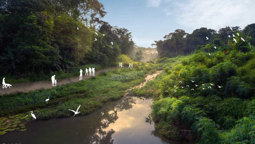 NParks to develop 18km of recreational trails to link Rail Corridor to Dover Forest and Jurong Lake Gardens