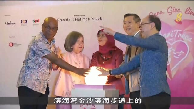 哈莉玛总统为滨海湾步道 圣诞树主持亮灯