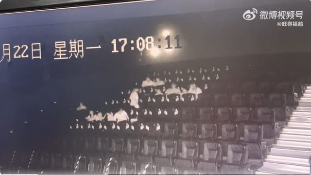男童看电影踹椅背父亲也跟着踹 中国女子被踢到疑脑震荡