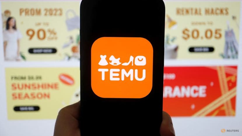 Temu-owner PDD Holdings appoints co-CEO Zhao as co-chairman of board