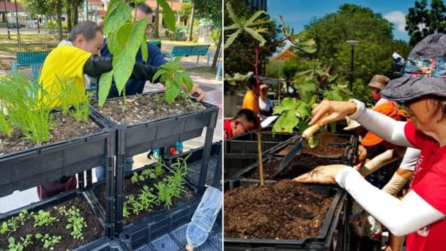 本地首个垂直花床租用园地启用 供居民种蔬果