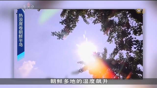 朝鲜半岛热浪袭击 平壤多地发布高温预警
