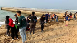 Related article image