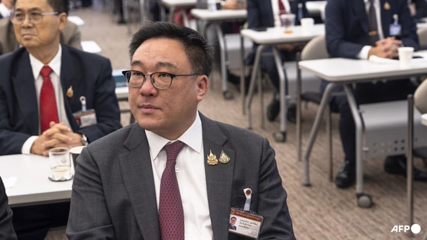 Thai ex-PM Thaksin's party elects new leader after daughter's exit Thai ex-PM Thaksin's party elects new leader after daughter's exit