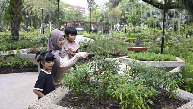 榜鹅公园康疗花园正式开放 设有本地首个户外硬地滚球场
