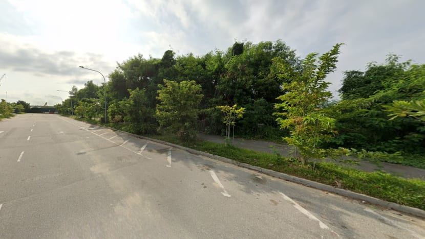 New funeral and columbarium complex may be built at Tanah Merah Coast Road New funeral and columbarium complex may be built at Tanah Merah Coast Road